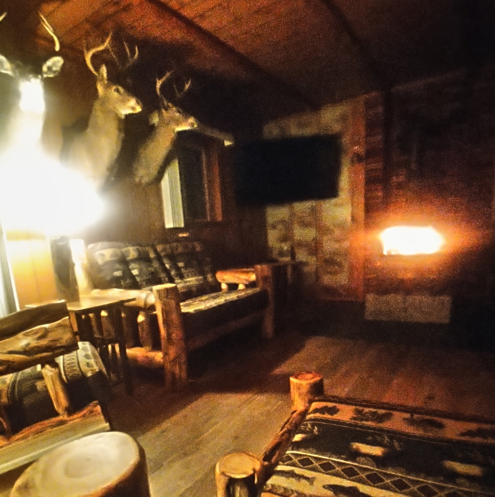 Warm Cabin Fire
